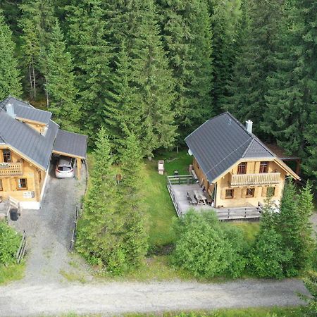 Almhaus & Almchalet Flattnitz ภายนอก รูปภาพ