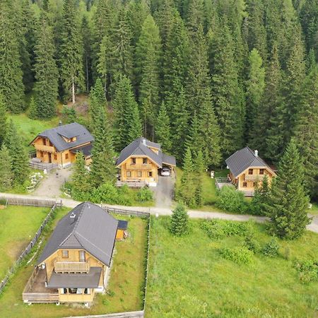 Almhaus & Almchalet Flattnitz ภายนอก รูปภาพ