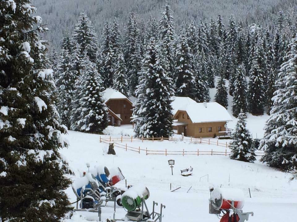 Almhaus & Almchalet Flattnitz ภายนอก รูปภาพ