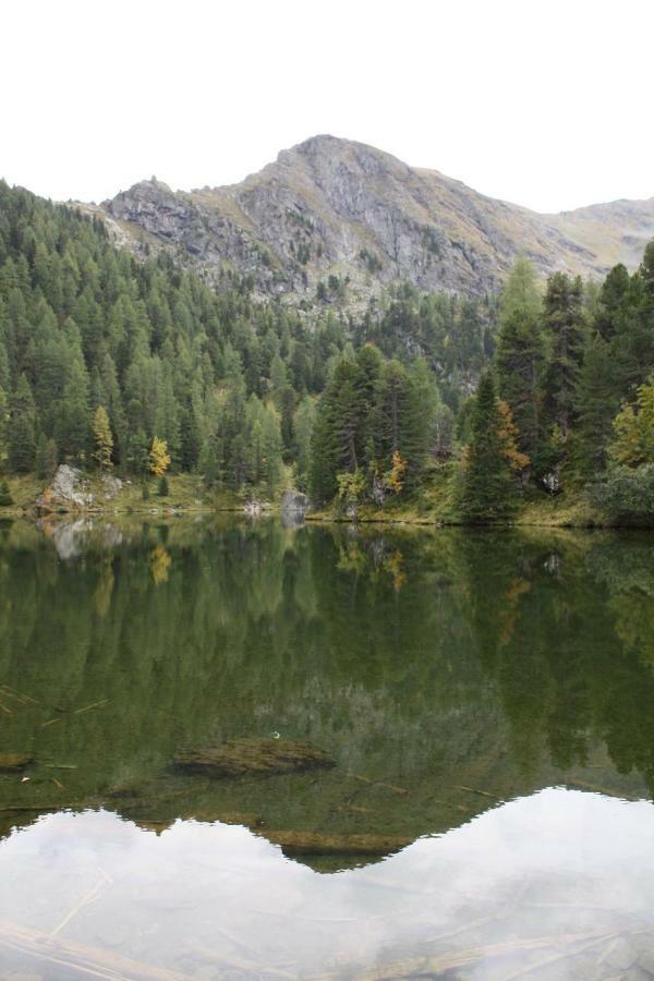 Almhaus & Almchalet Flattnitz ภายนอก รูปภาพ