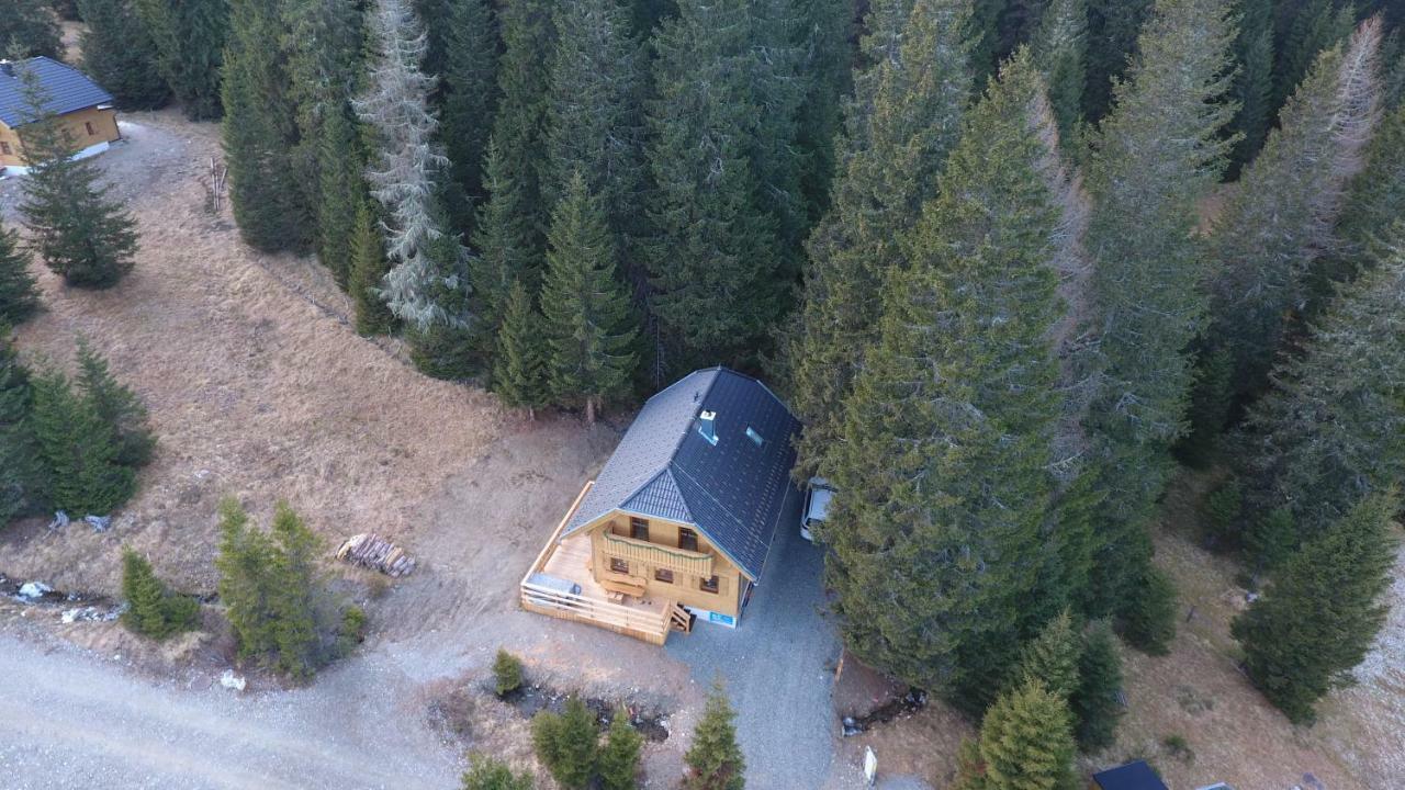 Almhaus & Almchalet Flattnitz ภายนอก รูปภาพ